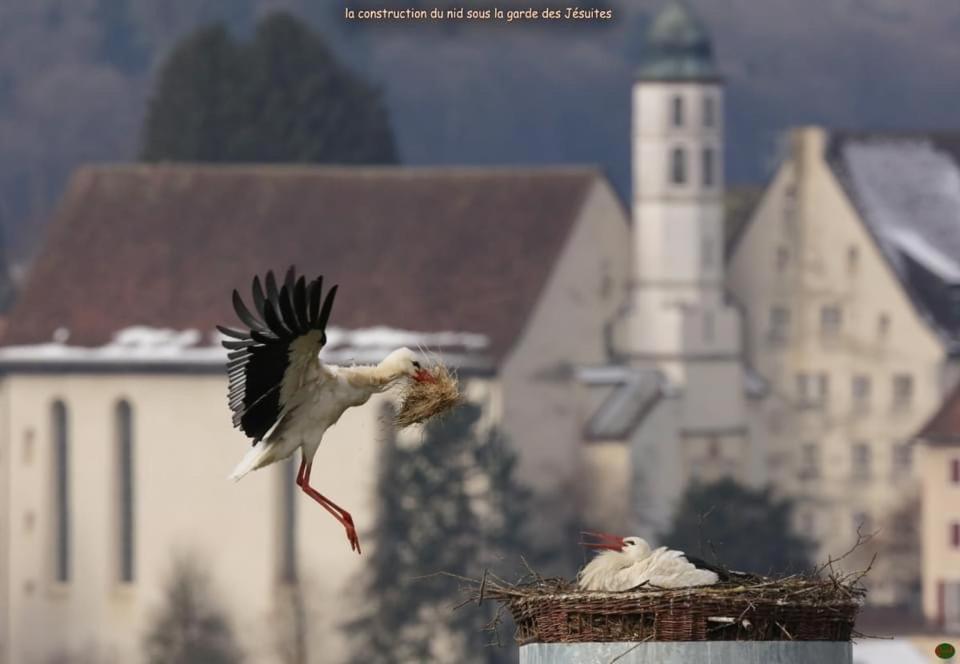 Hotel Domaine De Mont-Renaud Boncourt Zewnętrze zdjęcie