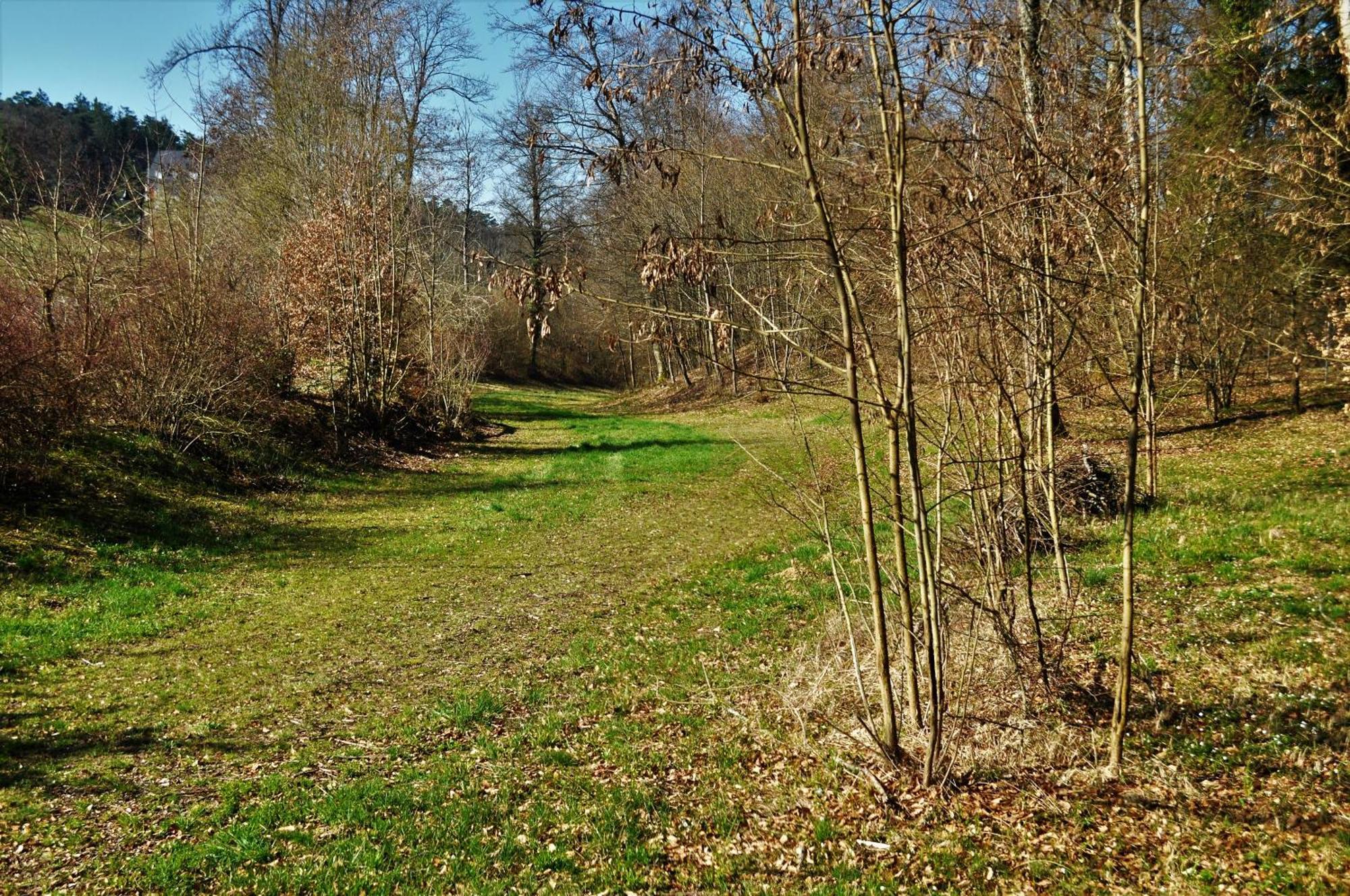 Hotel Domaine De Mont-Renaud Boncourt Zewnętrze zdjęcie