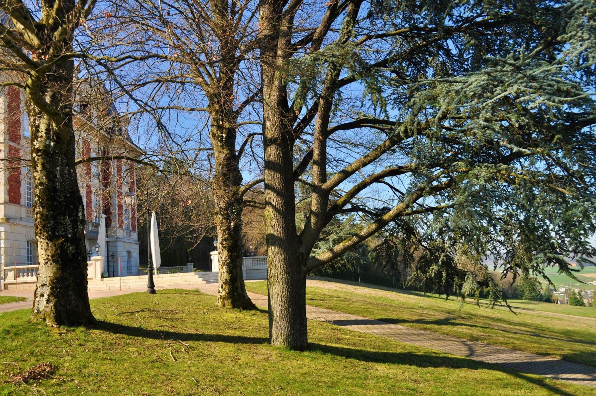 Hotel Domaine De Mont-Renaud Boncourt Zewnętrze zdjęcie